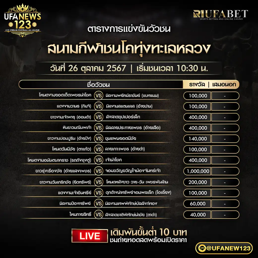 โปรแกรมวัวชน สนามชนโคทุ่งทะเลหลวง เริ่มชนเวลา 10.30 น. 26 ตุลาคม 2567