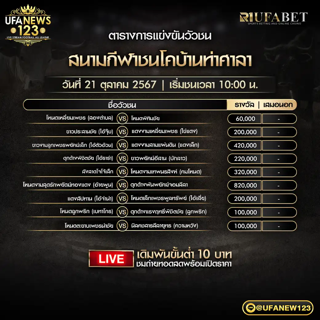 โปรแกรมวัวชน สนามชนโคท่าศาลา เริ่มชนเวลา 10.00 น. 21 ตุลาคม 2567