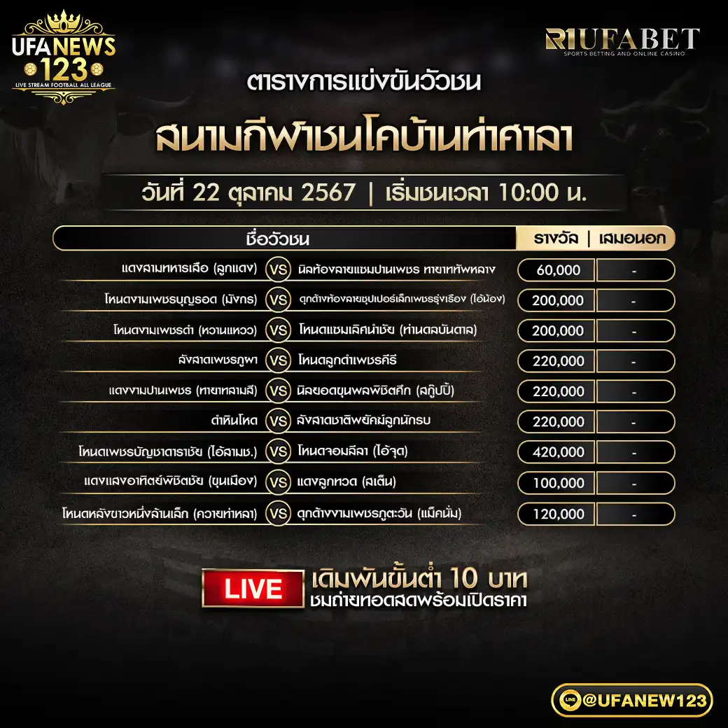 โปรแกรมวัวชน สนามชนโคท่าศาลา เริ่มชนเวลา 10.00 น. 22 ตุลาคม 2567