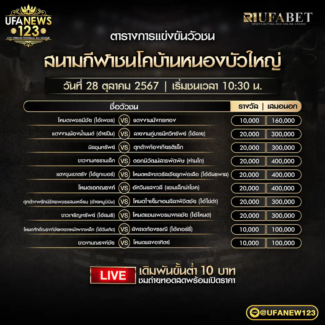 โปรแกรมวัวชน สนามชนโคบ้านหนองบัวใหญ่ เริ่มชนเวลา 10.30 น. 28 ตุลาคม 2567