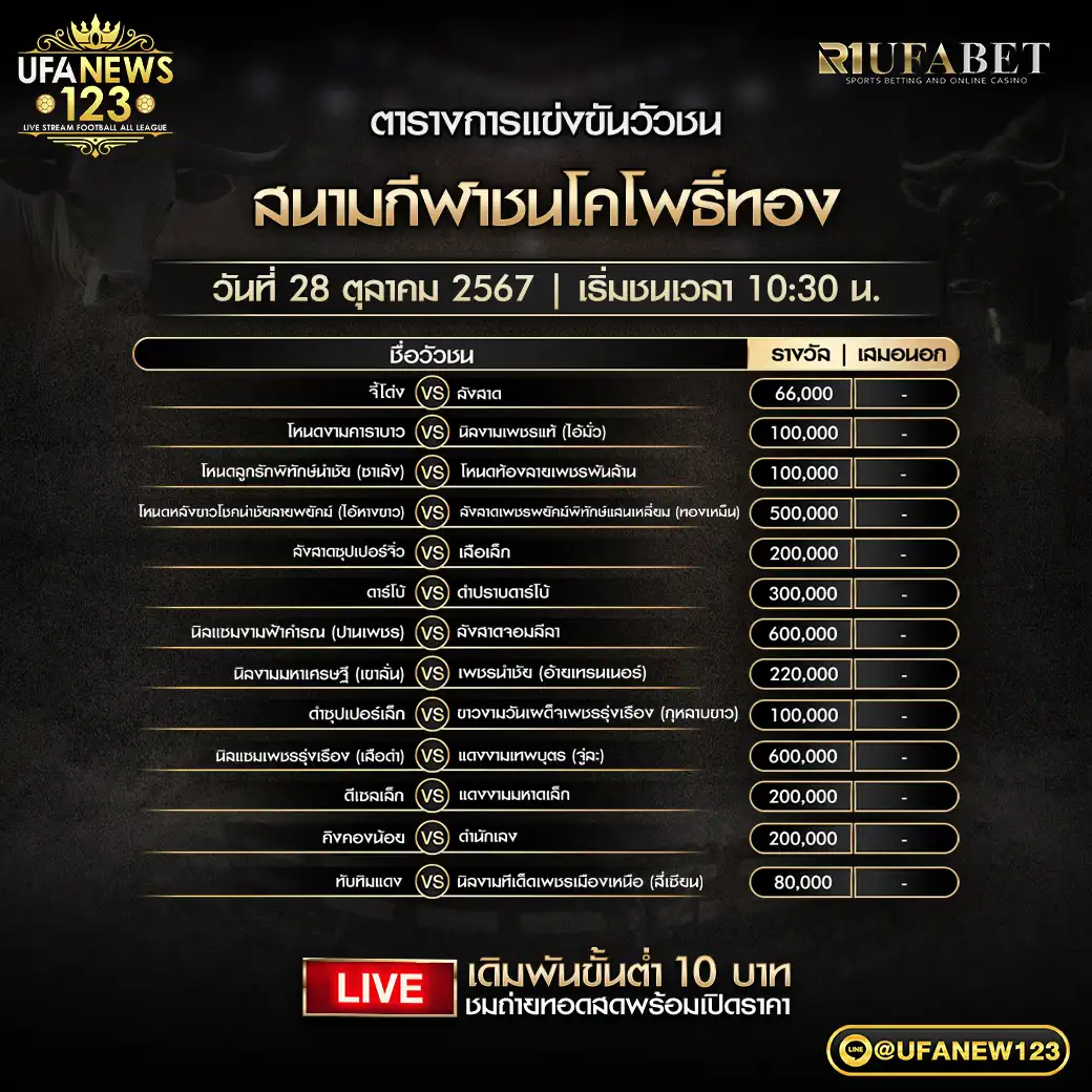 โปรแกรมวัวชน สนามชนโคโพธิ์ทอง เริ่มชนเวลา 10.30 น. 28 ตุลาคม 2567