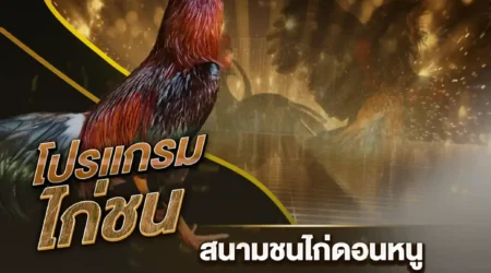 โปรแกรมไก่ชน 01 ตุลาคม 2567