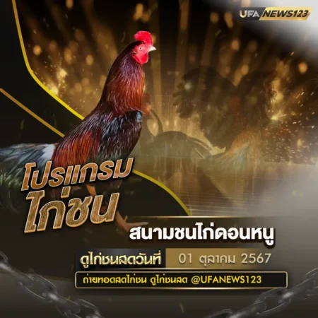 โปรแกรมไก่ชน 01 ตุลาคม 2567