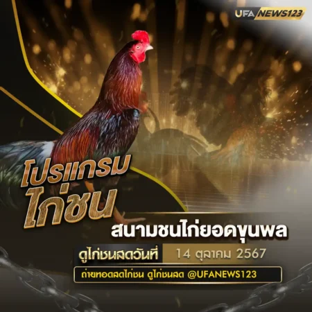 โปรแกรมไก่ชน 14 ตุลาคม 2567