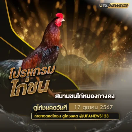 โปรแกรมไก่ชน 17 ตุลาคม 2567