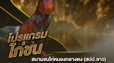 โปรแกรมไก่ชน 24 ตุลาคม 2567