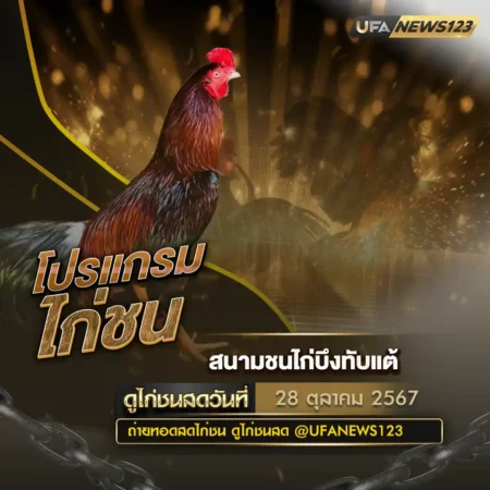 โปรแกรมไก่ชน 28 ตุลาคม 2567