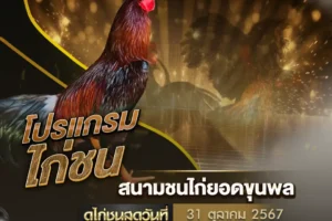 โปรแกรมไก่ชน 31 ตุลาคม 2567