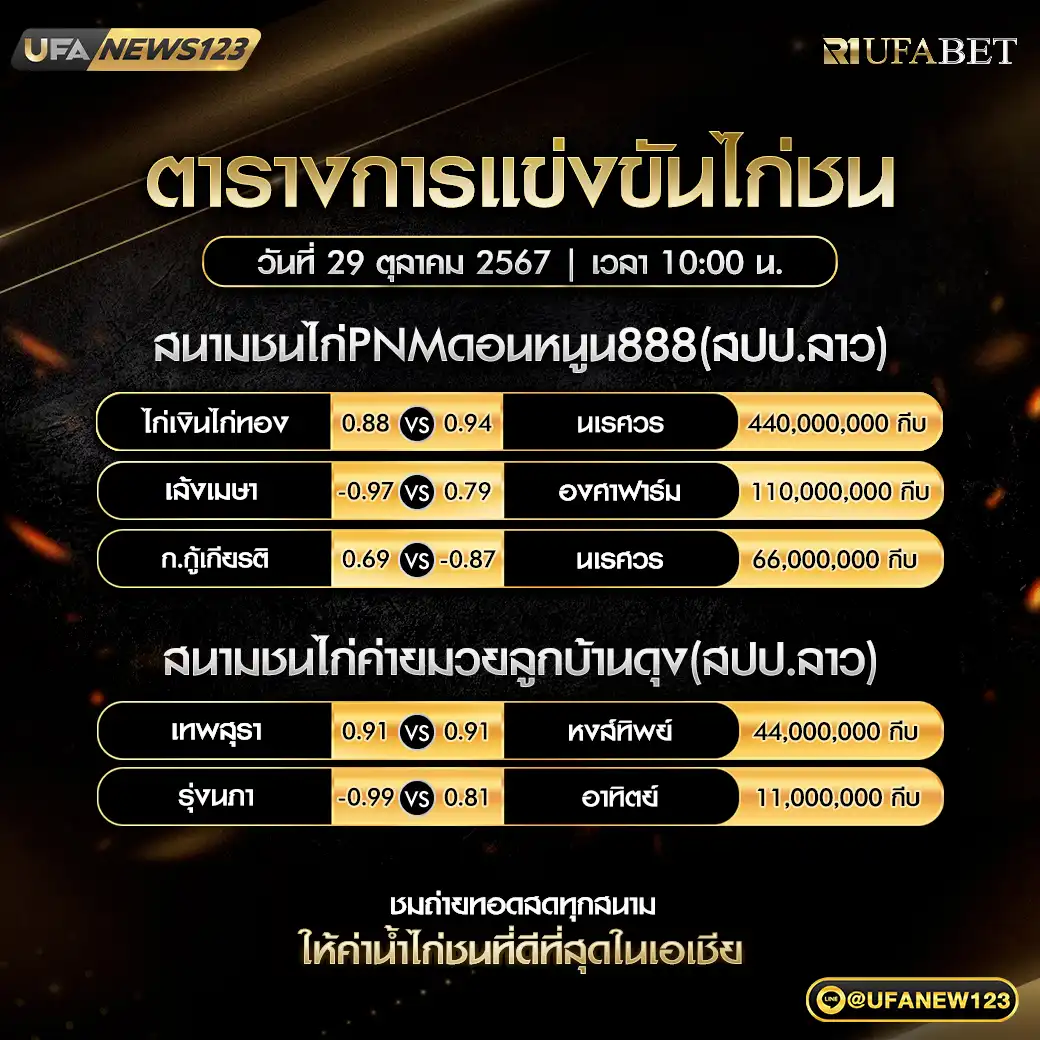 โปรแกรมไก่ชน สนามชนไก่PNMดอนหนูน888 ค่ายมวยลูกบ้านดุง เริ่มเวลา 10.00 น. 29 ตุลาคม 2567