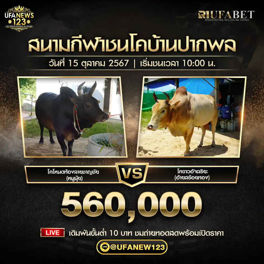 โหนดท้องลายชาญชัย (หนูนุ้ย) VS ขาวอัฉริยะ (อ้ายสร้อยทอง) ชิงรางวัล 520,000 บาท