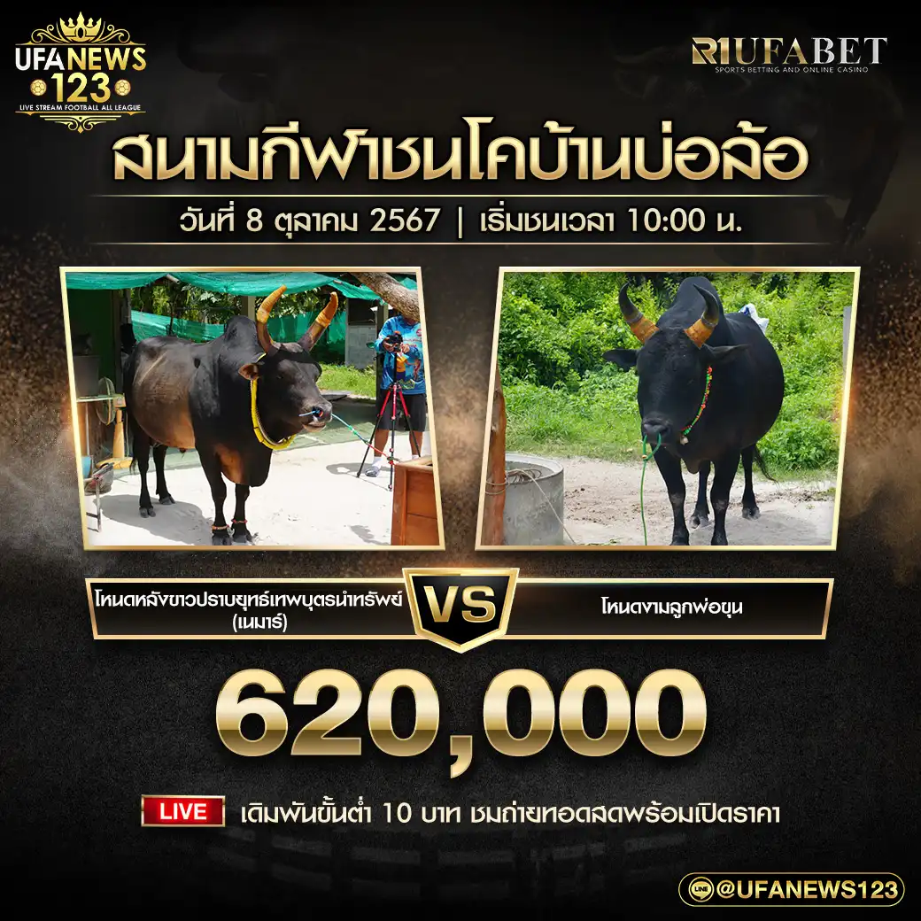 โหนดหลังขาวปราบยุทธ์เทพบุตรนำทรัพย์ (เนมาร์) VS โหนดงามลูกพ่อขุน ชิงรางวัล 620,000 บาท