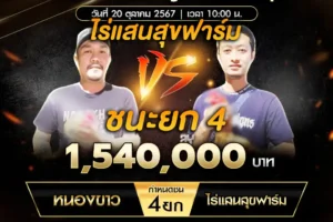 เทปไก่ชน หนองขาว VS ไร่แสนสุขฟาร์ม 20 ตุลาคม 2567