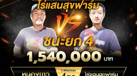 เทปไก่ชน หนองขาว VS ไร่แสนสุขฟาร์ม 20 ตุลาคม 2567