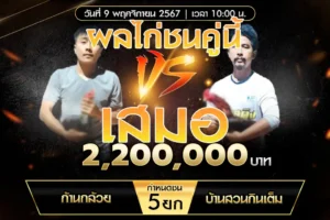 เทปไก่ชน ก้านกล้วย VS บ้านสวนกินเต็ม 09 พฤศจิกายน 2567