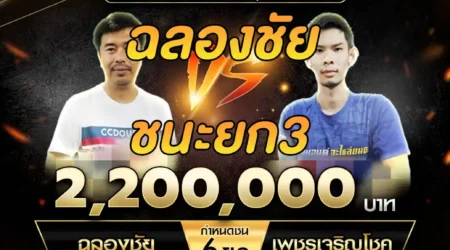 เทปไก่ชน ฉลองชัย VS เพชรเจริญโชค 23 พฤศจิกายน 2567