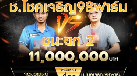 เทปไก่ชน จอมราชันย์ VS ช.โชคเจริญ98ฟาร์ม 16 พฤศจิกายน 2567