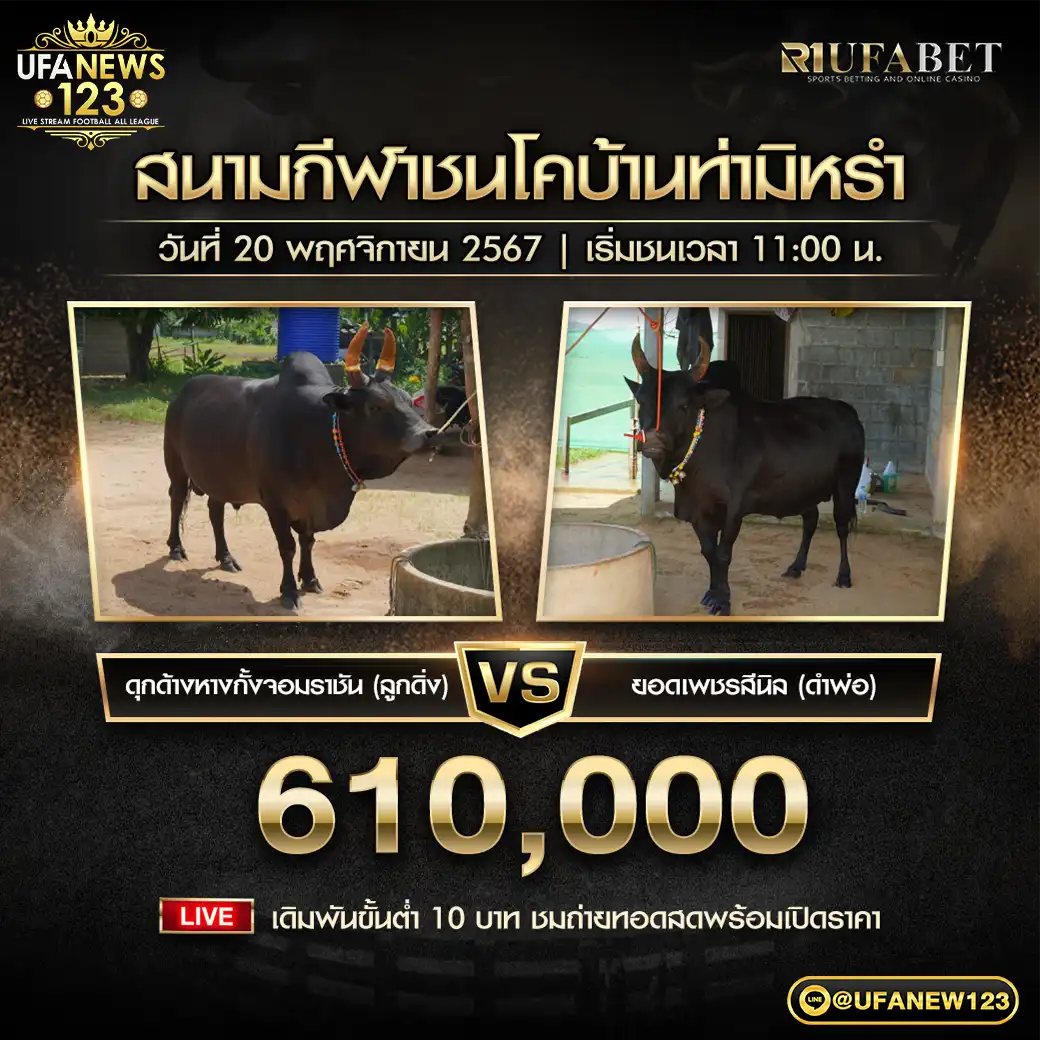 ดุกด้างหางกั้งจอมราชัน (ลูกดิ่ง) VS ยอดเพชรสีนิล (ดำพ่อ) ชิงรางวัล 610,000 บาท