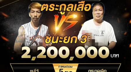 เทปไก่ชน แม่โจ้ VS ตระกูลเสือ 30 พฤศจิกายน 2567