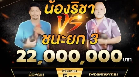 เทปไก่ชน น้องริชา VS เพชรคลองลาน 30 พฤศจิกายน 2567