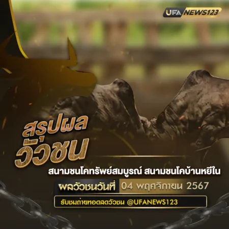 ผลวัวชน 04 พฤศจิกายน 2567