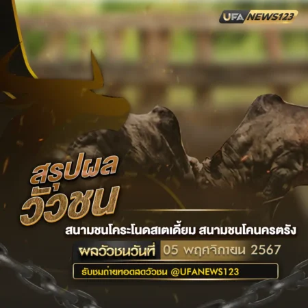 ผลวัวชน 05 พฤศจิกายน 2567