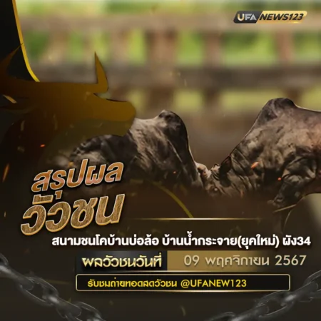 ผลวัวชน 09 พฤศจิกายน 2567