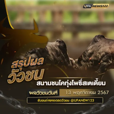 ผลวัวชน 13 พฤศจิกายน 2567