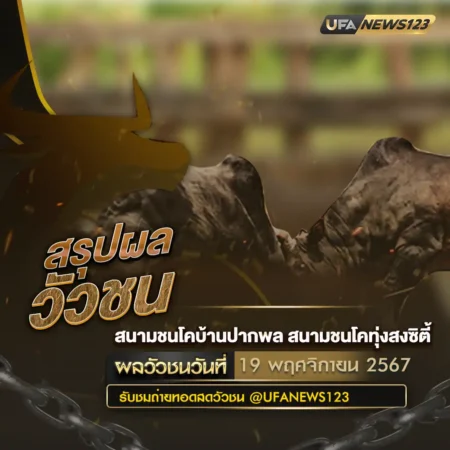 ผลวัวชน 19 พฤศจิกายน 2567