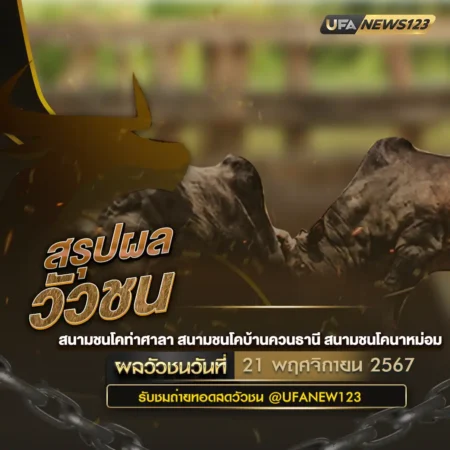 ผลวัวชน 21 พฤศจิกายน 2567