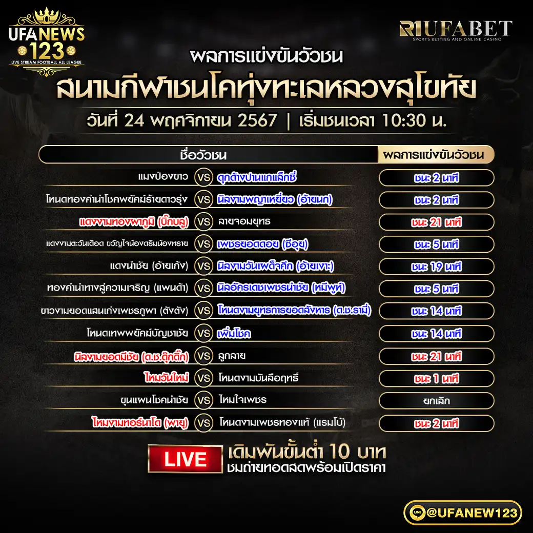 ผลวัวชน สนามชนโคทุ่งทะเลหลวงสุโขทัย 04 พฤศจิกายน 2567