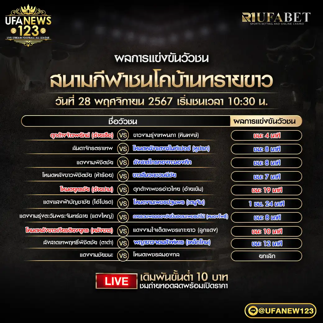 ผลวัวชน สนามชนโคบ้านทรายขาว 28 พฤศจิกายน 2567