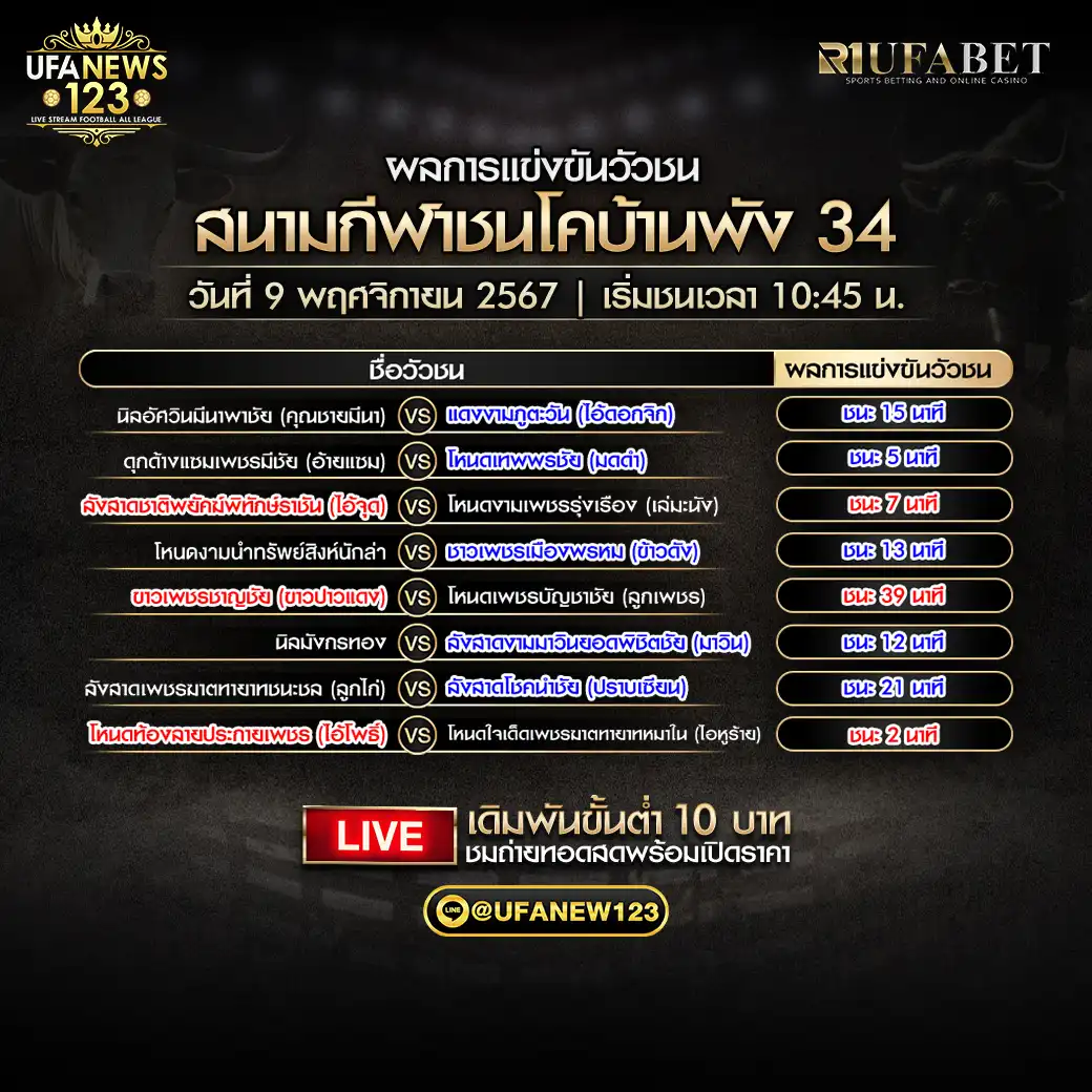 สรุปผลวัวชน สนามกีฬาชนโคบ้านผัง 34 09 พฤศจิกายน 2567