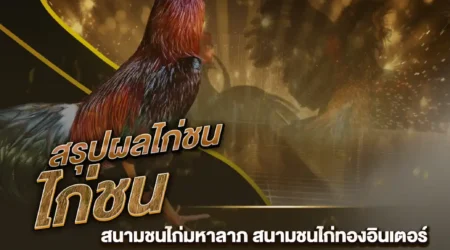 ผลไก่ชน 02 พฤศจิกายน 2567