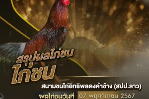 ผลไก่ชน 07 พฤศจิกายน 2567