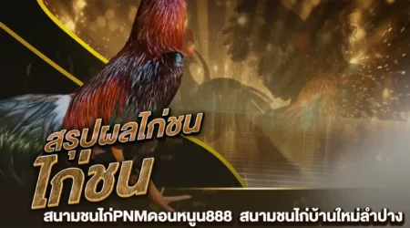 ผลไก่ชน 08 พฤศจิกายน 2567