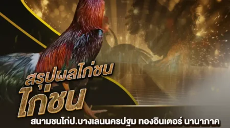 ผลไก่ชน 09 พฤศจิกายน 2567