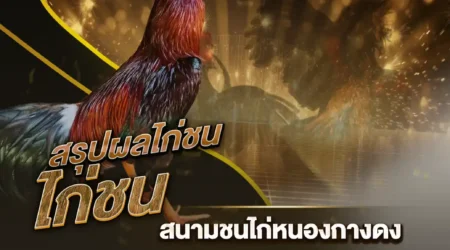 ผลไก่ชน 14 พฤศจิกายน 2567