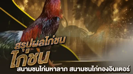 ผลไก่ชน 16 พฤศจิกายน 2567