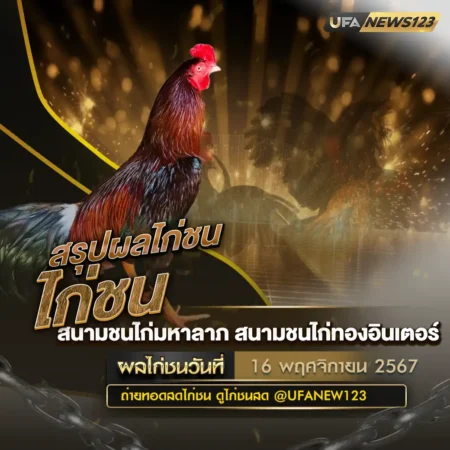 ผลไก่ชน 16 พฤศจิกายน 2567