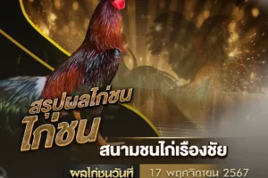 ผลไก่ชน 17 พฤศจิกายน 2567