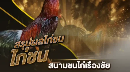 ผลไก่ชน 17 พฤศจิกายน 2567