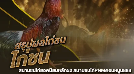 ผลไก่ชน 19 พฤศจิกายน 2567