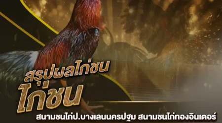 ผลไก่ชน 23 พฤศจิกายน 2567