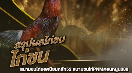 ผลไก่ชน 26 พฤศจิกายน 2567