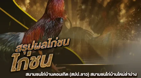 ผลไก่ชน 29 พฤศจิกายน 2567