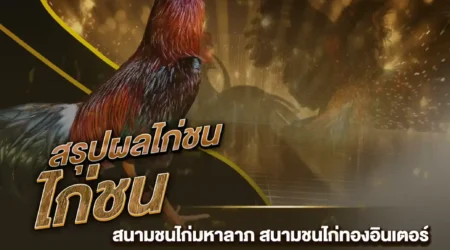 ผลไก่ชน 30 พฤศจิกายน 2567