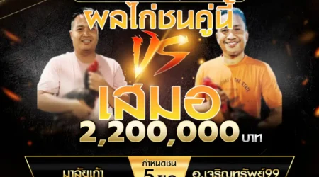 เทปไก่ชน มาลัยเก้า VS อ.เจริญทรัพย์99 09 พศฤจิกายน 2567