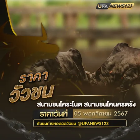 ราคาวัวชน 05 พฤศจิกายน 2567