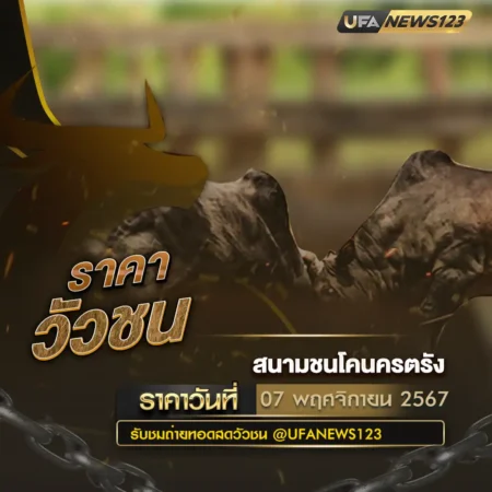 ราคาวัวชน 07 พฤศจิกายน 2567