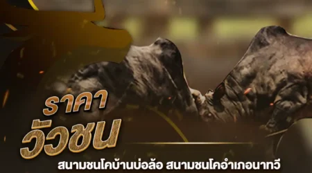 ราคาวัวชน 10 พฤศจิกายน 2567